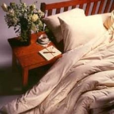 white_lotus_wool_duvet_