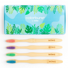 Wowe Colorburst Toothbrush Plants from Gimme the Good Stuff